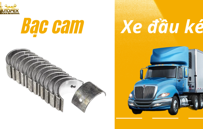 Bạc cam xe đầu kéo