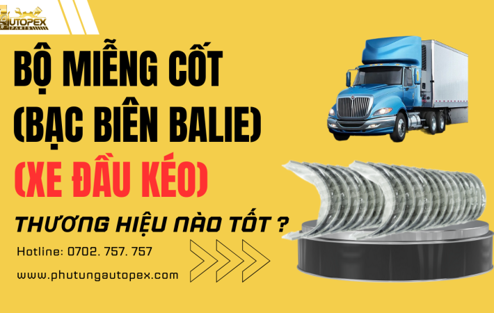 Bộ miếng cốt máy ( bạc biên, bạc balie)
